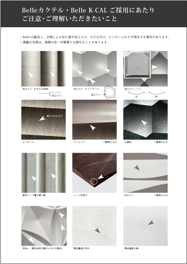 ご採用にあたり、ご注意・ご理解いただきたいこと